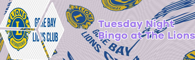 Lions club bingo near me