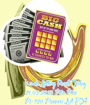 Lottery ticket result number